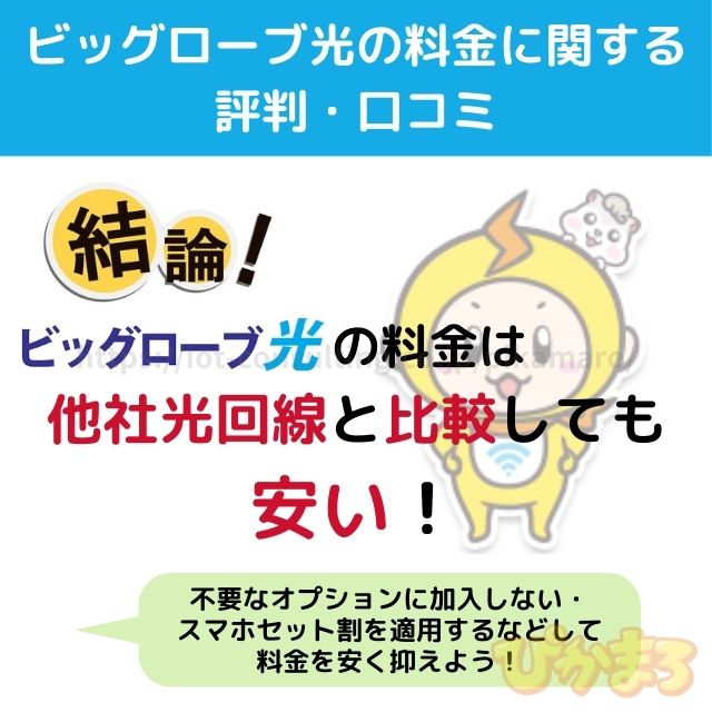 ビッグローブ光 評判