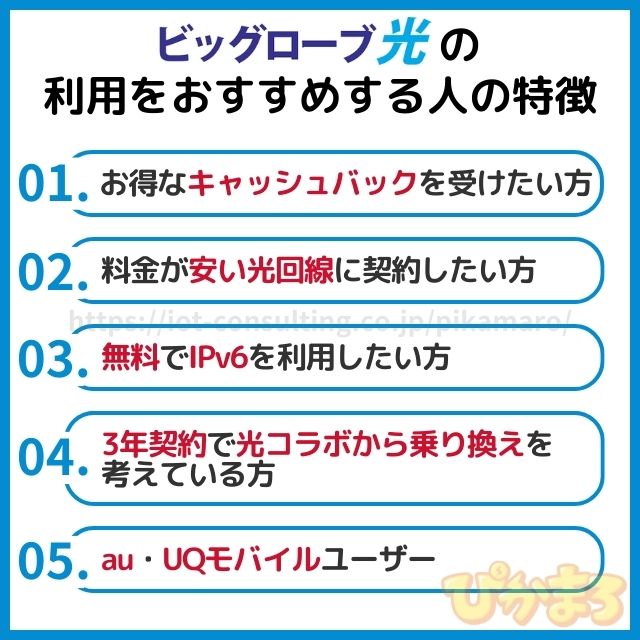 ビッグローブ光 評判