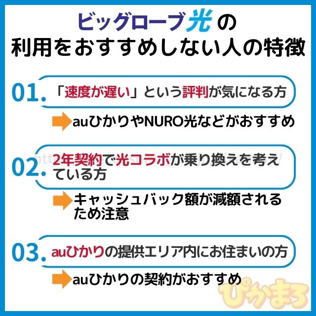 ビッグローブ光 評判