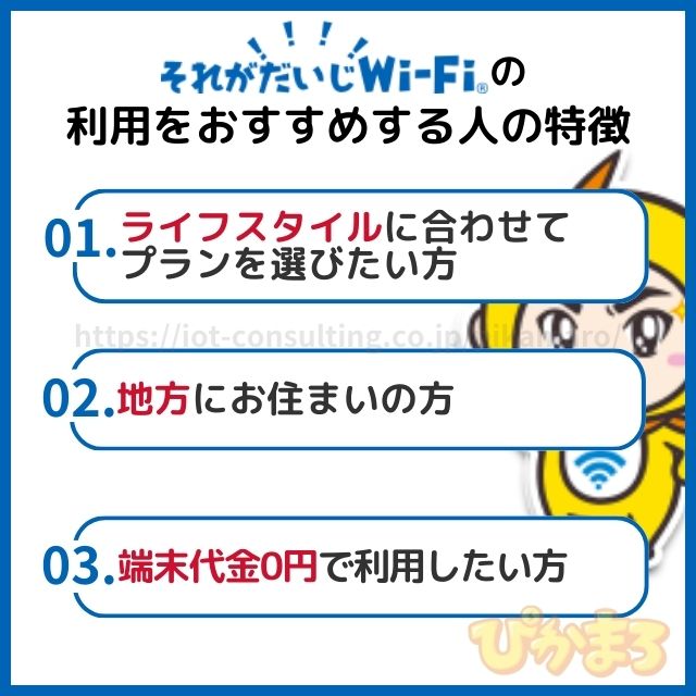 それがだいじwifi おすすめする人