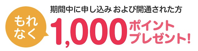 楽天ひかり 1,000ポイント
