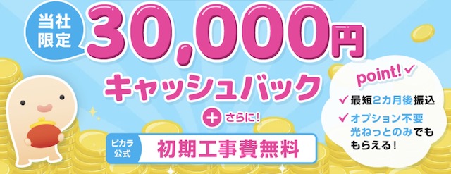 ピカラ光 NEXT