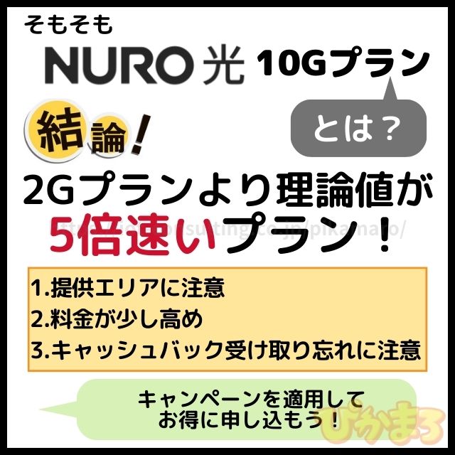 nuro光 10g とは
