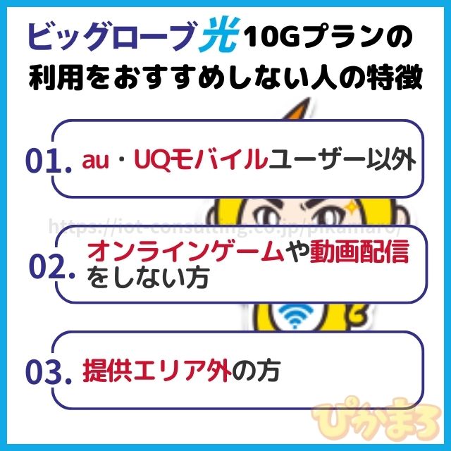 ビッグローブ光 10g おすすめしない人