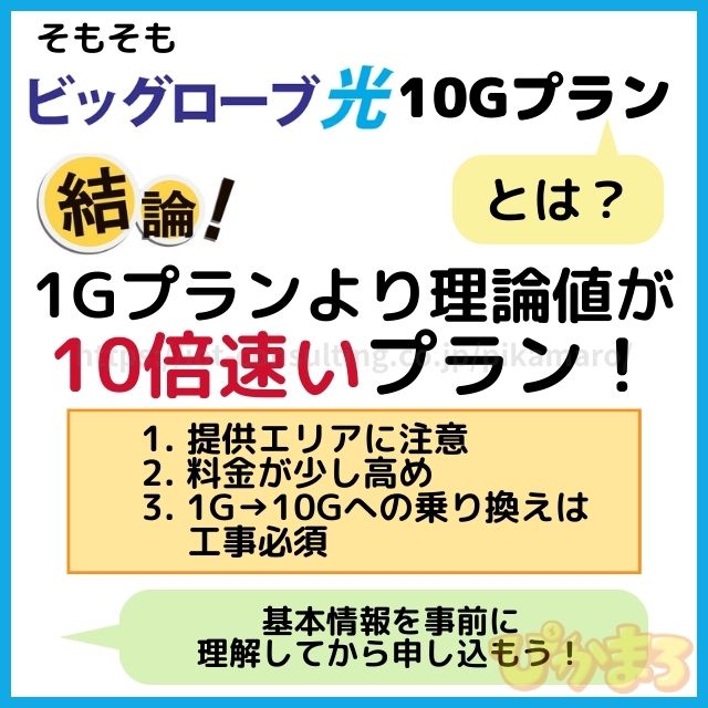 ビッグローブ光 10g とは