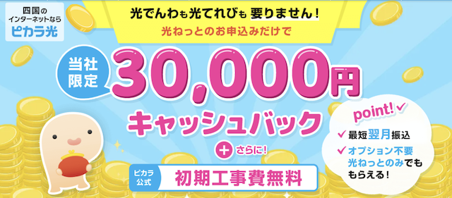 ピカラ光 NEXT