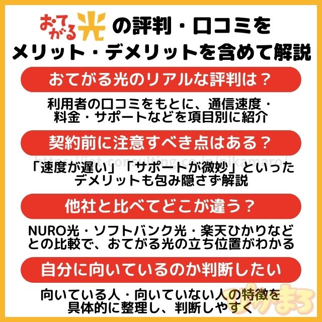 おてがる光 評判
